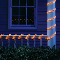 Celebrations Orange Rope Lights