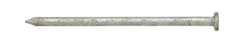 Ace 12D 3-1/4 in. Common Hot-Dipped Galvanized Steel Nail Flat 5 lb