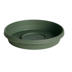 Bloem Terratray 2.7 in. H X 16 in. D Resin Traditional Tray Thyme Green