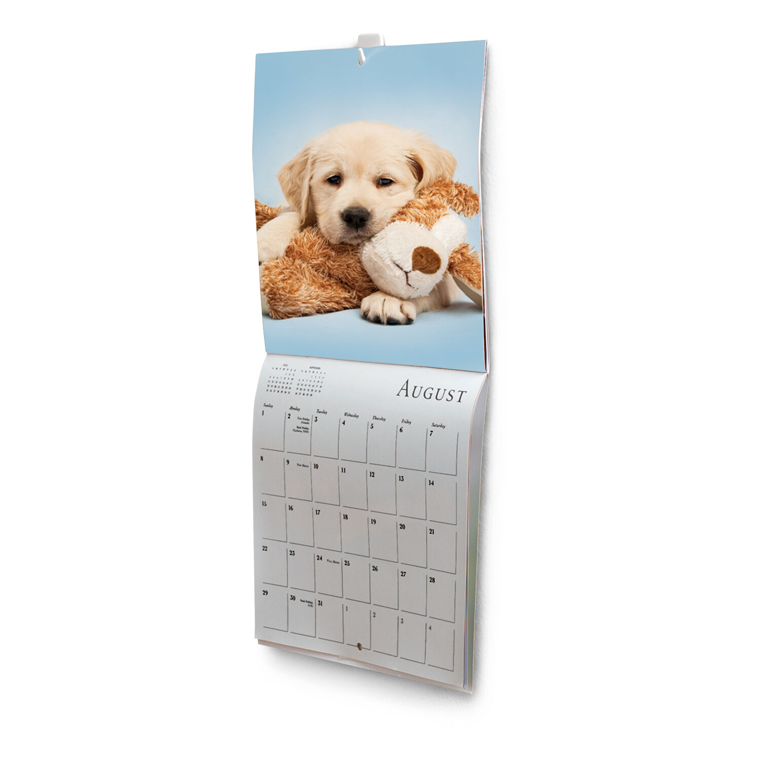 image-4