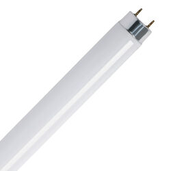 Feit Electric 32 W T8 1 in. D X 48 in. L Fluorescent Bulb Cool White Tubular 4100 K 2 pk