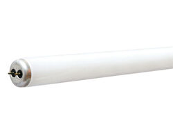 Westinghouse Rapid Start 25 W T8 36 in. L Fluorescent Bulb Cool White Linear 3500 K 1 pk