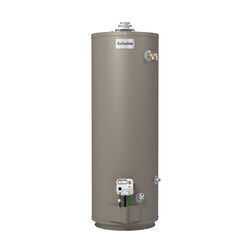 Reliance 40 gal 35500 BTU Natural Gas/Propane Mobile Home Water Heater