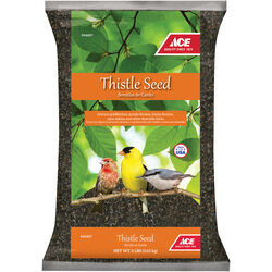 Ace Thistle Seed Songbird Thistle Seed Wild Bird Food 8 lb