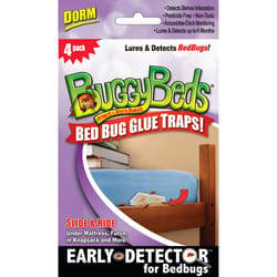 Buggy Beds Dorm Glue Trap 4 pk