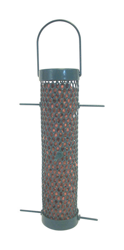 image-2