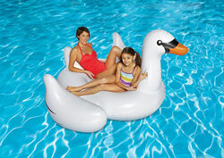 Swimline White Vinyl Inflatable Swan Pool Float