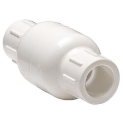 Homewerks Worldwide 1 in. D X 1 in. D PVC Spring Loaded Check Valve