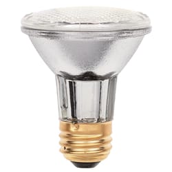 Westinghouse Eco-Par 38 W PAR20 Floodlight Halogen Bulb 500 lm Clear 1 pk