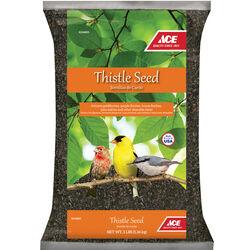 Ace Thistle Seed Songbird Thistle Seed Wild Bird Food 3 lb