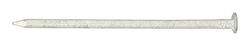 Ace 4D 1-1/2 in. Common Hot-Dipped Galvanized Steel Nail Flat 1 lb