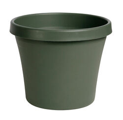 Bloem Terrapot 9 in. H X 10 in. D Resin Traditional Planter Thyme Green