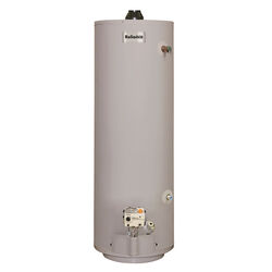 Reliance 30 gal 30000 BTU Natural Gas/Propane Mobile Home Water Heater