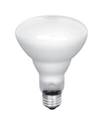 Feit Electric acre Filament BR30 E26 (Medium) LED Bulb Soft White 65 Watt Equivalence 2 pk