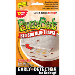 Buggy Beds Glue Trap 12 pk