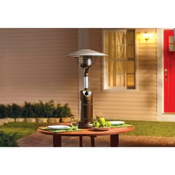 Living Accents Tabletop Propane Steel Patio Heater
