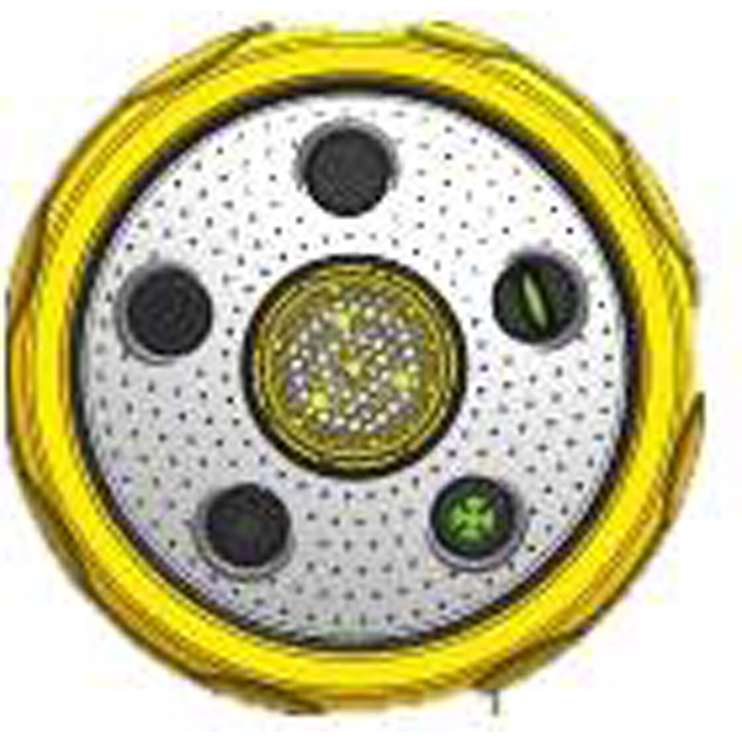 image-3