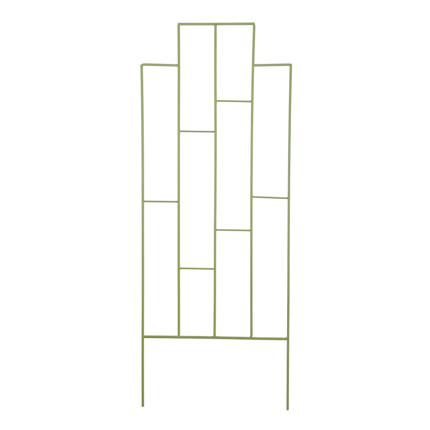 image-1