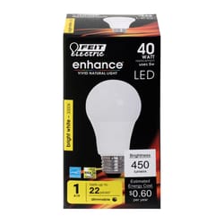 Feit Electric acre A19 E26 (Medium) LED Bulb Bright White 40 Watt Equivalence 1 pk