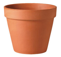 Deroma 4 in. H X 4 in. D Clay Traditional Planter Terracotta
