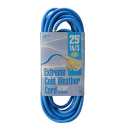 Woods Indoor or Outdoor 25 ft. L Blue Extension Cord 14/3