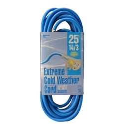 Woods Indoor or Outdoor 25 ft. L Blue Extension Cord 14/3