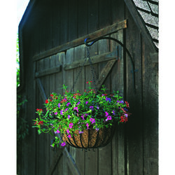 Panacea Black Iron 16 in. H Curved Plant Hook