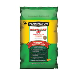 Pennington Kentucky 31 Tall Fescue Full Sun/Medium Shade Grass Seed 50 lb