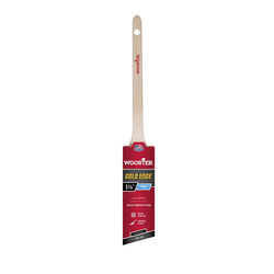 Wooster Gold Edge 1-1/2 in. W Thin Angle Paint Brush