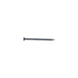 Stallion 8D 2-1/2 in. Common Bright Steel Nail Flat 5 lb