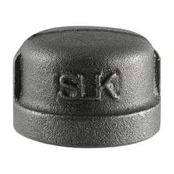 Pipe Decor 3/8 in. FIP T X 3/8 in. D FPT Black Malleable Iron Cap