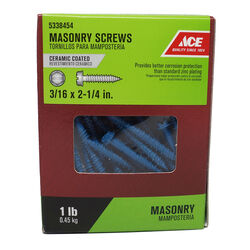 Ace 3/16 in. S X 2-1/4 in. L Slotted Hex Washer Head Masonry Screws 1 lb 80 pk