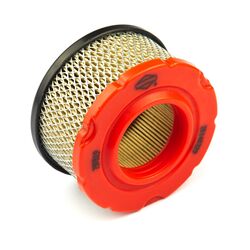 Briggs & Stratton Air Filter Cleaner For