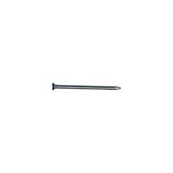 Stallion 10D 3 in. Common Bright Steel Nail Large 25 lb