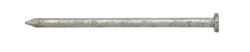 Ace 16D 3-1/2 in. Common Hot-Dipped Galvanized Steel Nail Flat 5 lb