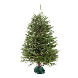 Black & Decker Plastic Christmas Tree Stand