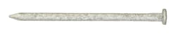 Ace 8D 2-1/2 in. Common Hot-Dipped Galvanized Steel Nail Flat 1 lb