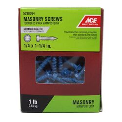 Ace 1/4 in. S X 1-1/4 in. L Slotted Hex Washer Head Masonry Screws 1 lb 85 pk